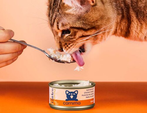 carnima 2