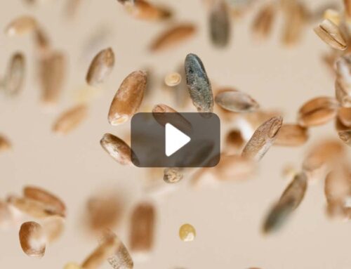 Bio Imagefilm